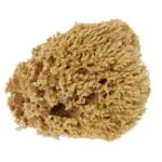 Esponja Natural – Pentrilo