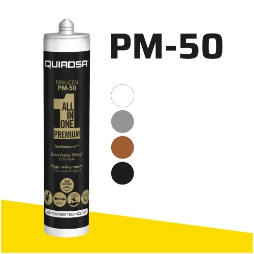 Silicone BRIK-CEN PM-50 – Quiadsa
