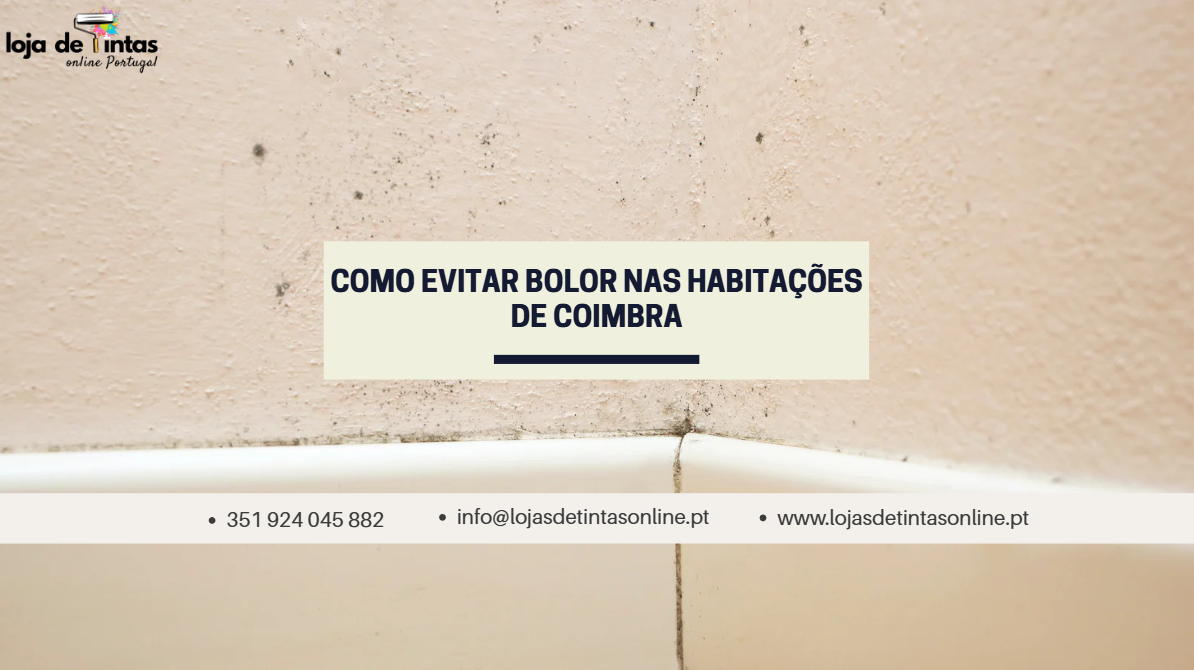 Dicas para prevenir bolor em casas e apartamentos em Coimbra.