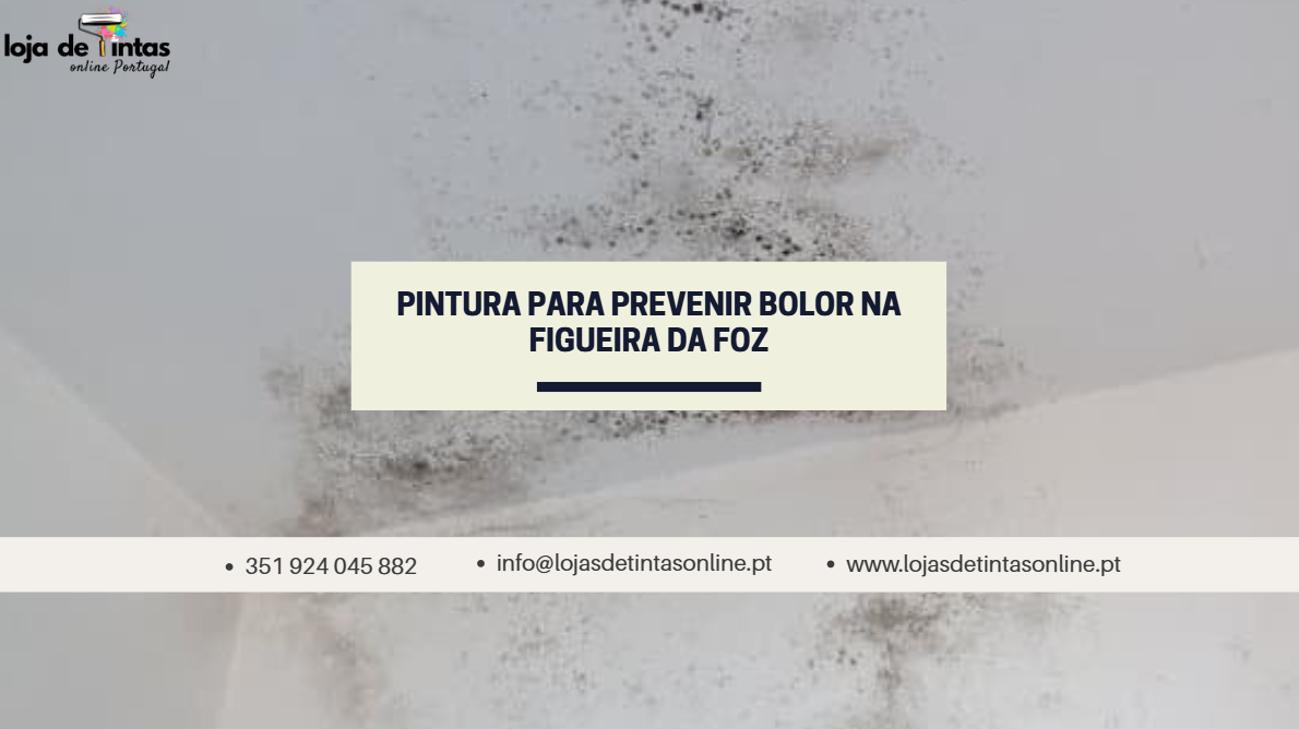 Pintura antifúngica e preventiva de bolor em paredes na Figueira da Foz.