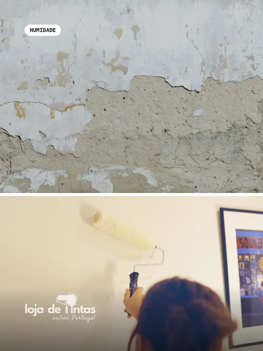 Que tinta usar contra a humidade típica do Porto?
