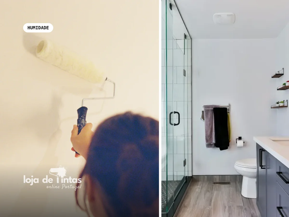 Como evitar bolor nas habitações de Coimbra