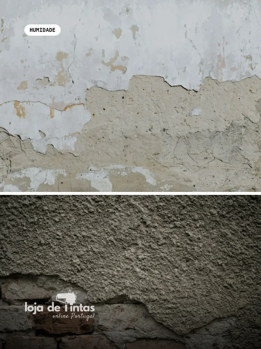 Pintura para prevenir bolor na Figueira da Foz