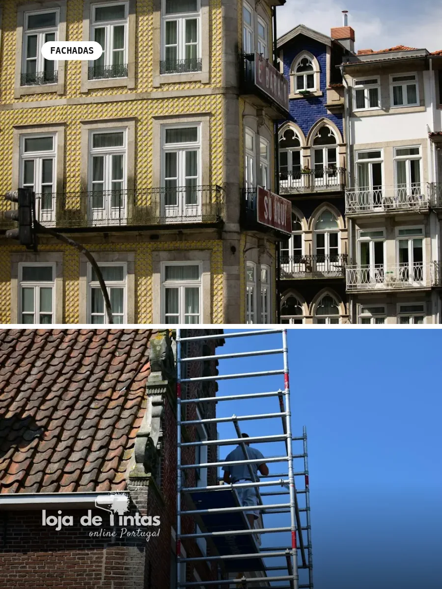 Tinta ideal para casas de campo em Idanha-a-Nova